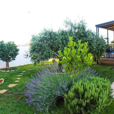 Apartments Lila Novigrad  Exterior photo